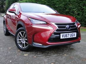 LEXUS NX 2017 (67) at Bob Gerard Limited Leicester